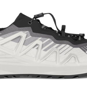 Merger GTX Lo